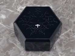 Chitocerium VI-Carbonia Graphites Model Kit 21 Chitocerium VI-Carbonia Graphites Model Kit -Kotobukiya Sales Shop 1f9c21e2 4543 4676 912f e86a544599f5