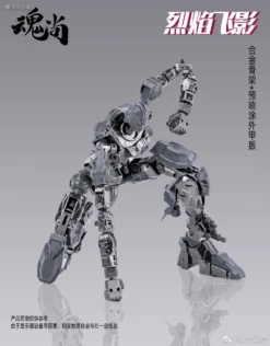 1/100 Flame SHADOW PLASTIC MODEL KIT Metal Frame Ver -Kotobukiya Sales Shop 269745317 4603679256390686 468209802538721036 n