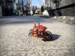 Aquaculture Tank Fiddler Crab Model Kit -Kotobukiya Sales Shop 8b20f84e 6918 44b8 aa6e 2f48ca7f7ee3